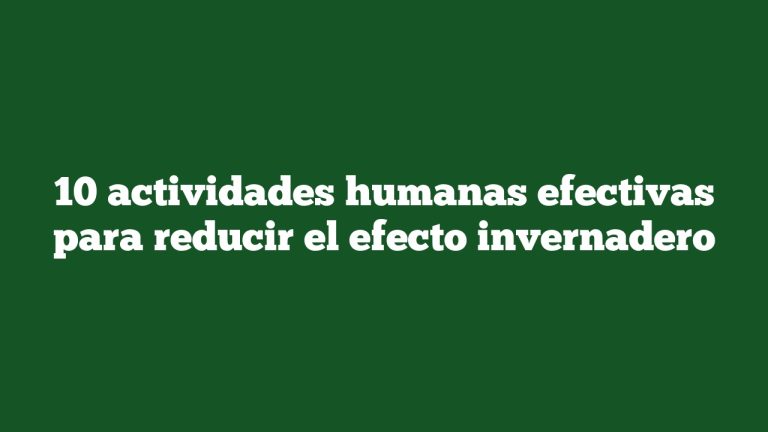 10 actividades humanas efectivas para reducir el efecto invernadero