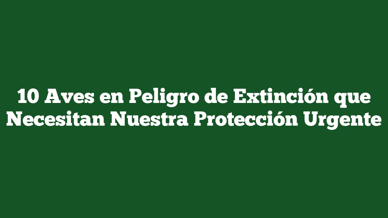 10 Aves en Peligro de Extinción que Necesitan Nuestra Protección Urgente