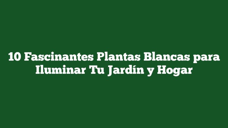 Imagen de 10 Fascinantes Plantas Blancas para Iluminar Tu Jardín y Hogar 10 Fascinantes Plantas Blancas para Iluminar Tu Jardín y Hogar