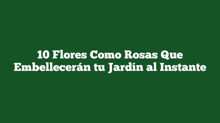 Imagen de 10 Flores Como Rosas Que Embellecerán tu Jardín al Instante 10 Flores Como Rosas Que Embellecerán tu Jardín al Instante