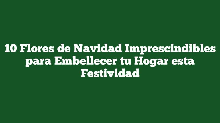 Imagen de 10 Flores de Navidad Imprescindibles para Embellecer tu Hogar esta Festividad 10 Flores de Navidad Imprescindibles para Embellecer tu Hogar esta Festividad