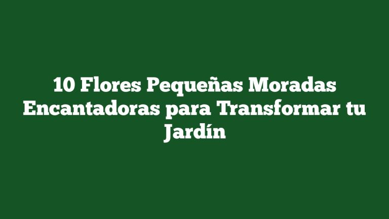 10 Flores Pequeñas Moradas Encantadoras para Transformar tu Jardín