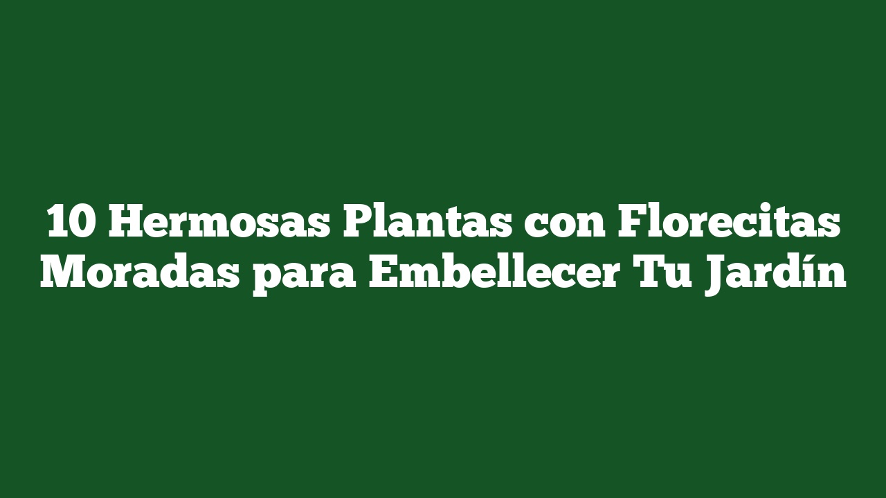 10 Hermosas Plantas con Florecitas Moradas para Embellecer Tu Jardín