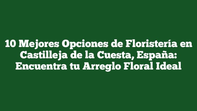 Imagen de 10 Mejores Opciones de Floristería en Castilleja de la Cuesta, España: Encuentra tu Arreglo Floral Ideal 10 Mejores Opciones de Floristería en Castilleja de la Cuesta, España: Encuentra tu Arreglo Floral Ideal