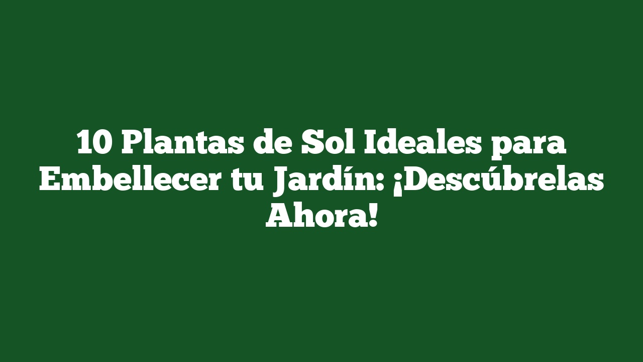 10 Plantas de Sol Ideales para Embellecer tu Jardín: ¡Descúbrelas Ahora!