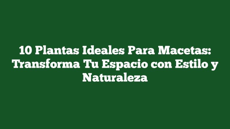 10 Plantas Ideales Para Macetas: Transforma Tu Espacio con Estilo y Naturaleza