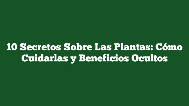 10 Secretos Sobre Las Plantas: Cómo Cuidarlas y Beneficios Ocultos