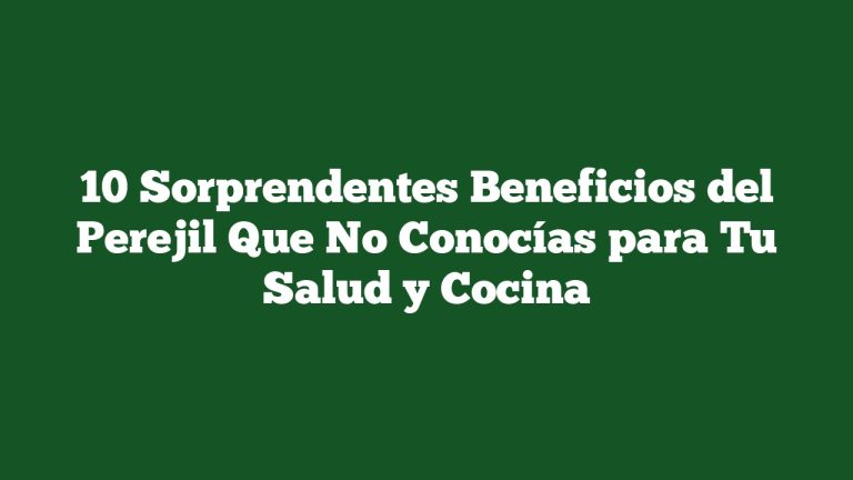 Imagen de 10 Sorprendentes Beneficios del Perejil Que No Conocías para Tu Salud y Cocina 10 Sorprendentes Beneficios del Perejil Que No Conocías para Tu Salud y Cocina