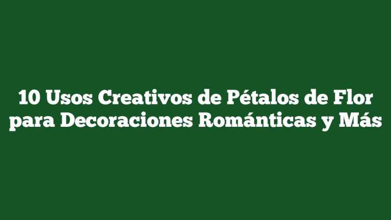 Imagen de 10 Usos Creativos de Pétalos de Flor para Decoraciones Románticas y Más 10 Usos Creativos de Pétalos de Flor para Decoraciones Románticas y Más