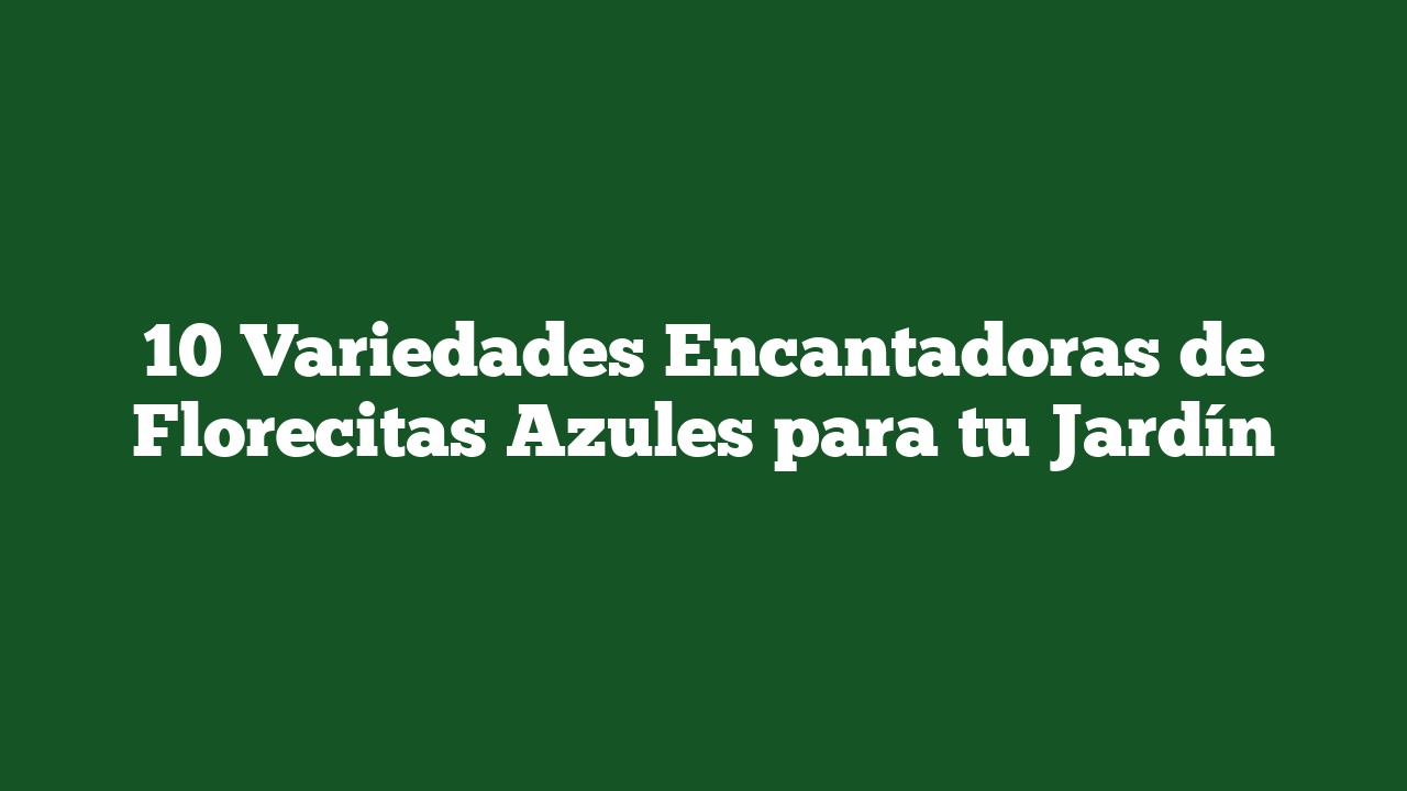 10 Variedades Encantadoras de Florecitas Azules para tu Jardín