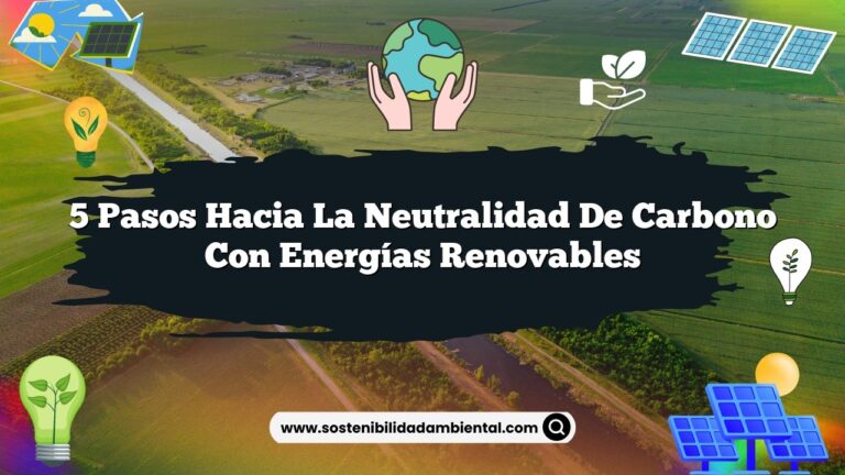 5 Pasos hacia la Neutralidad de Carbono con Energías Renovables
