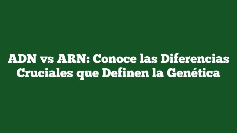 Imagen de ADN vs ARN: Conoce las Diferencias Cruciales que Definen la Genética ADN vs ARN: Conoce las Diferencias Cruciales que Definen la Genética