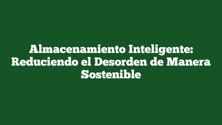 Almacenamiento Inteligente: Reduciendo el Desorden de Manera Sostenible