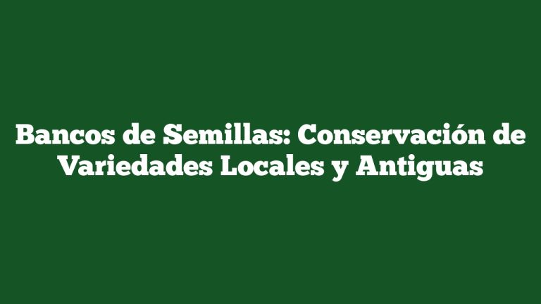 Bancos de Semillas: Conservación de Variedades Locales y Antiguas