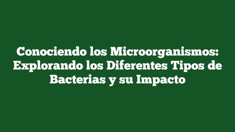 Imagen de Conociendo los Microorganismos: Explorando los Diferentes Tipos de Bacterias y su Impacto Conociendo los Microorganismos: Explorando los Diferentes Tipos de Bacterias y su Impacto