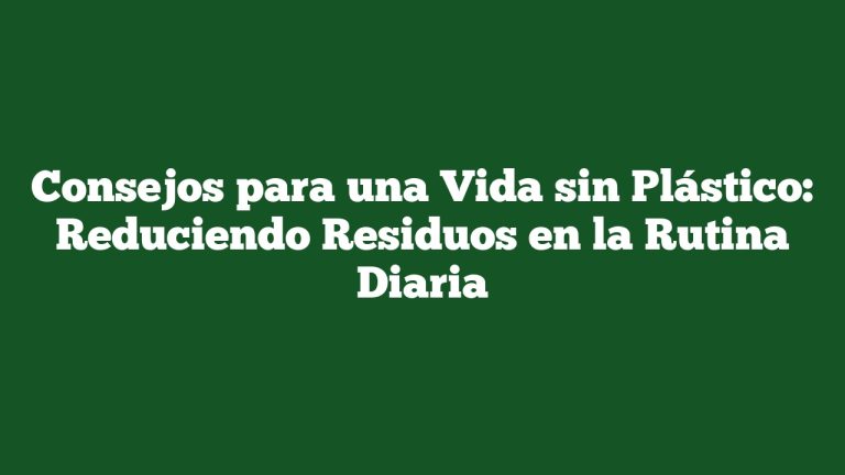 Imagen de Consejos para una Vida sin Plástico: Reduciendo Residuos en la Rutina Diaria Consejos para una Vida sin Plástico: Reduciendo Residuos en la Rutina Diaria