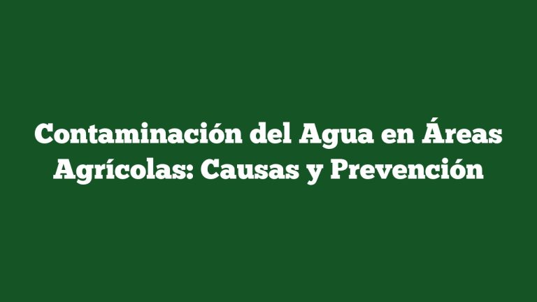 Imagen de Contaminación del Agua en Áreas Agrícolas: Causas y Prevención Contaminación del Agua en Áreas Agrícolas: Causas y Prevención