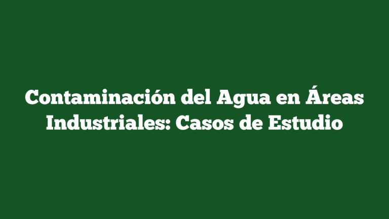 Contaminación del Agua en Áreas Industriales: Casos de Estudio