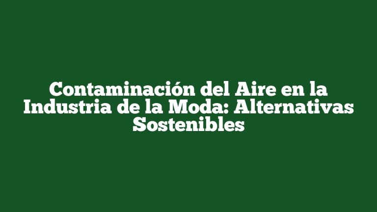 Contaminación del Aire en la Industria de la Moda: Alternativas Sostenibles
