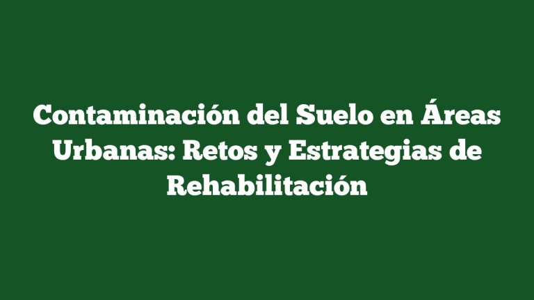 Contaminación del Suelo en Áreas Urbanas: Retos y Estrategias de Rehabilitación
