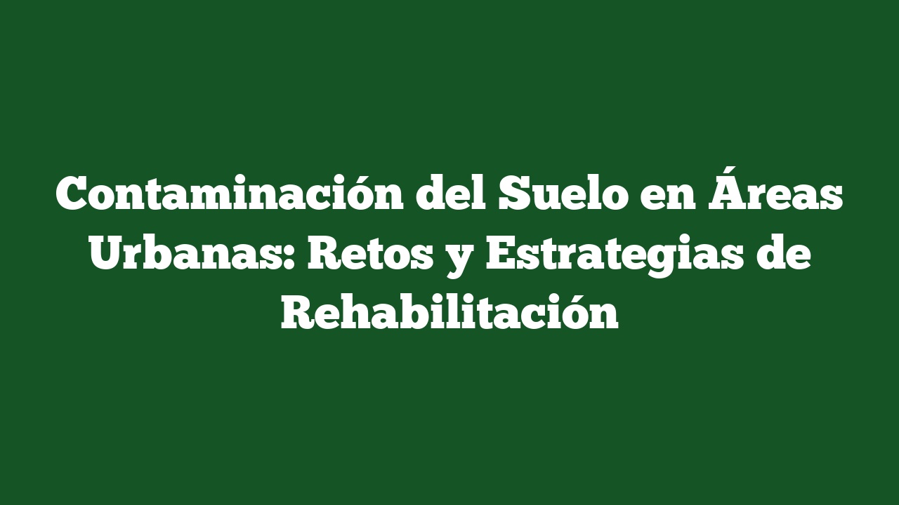Contaminación del Suelo en Áreas Urbanas: Retos y Estrategias de Rehabilitación