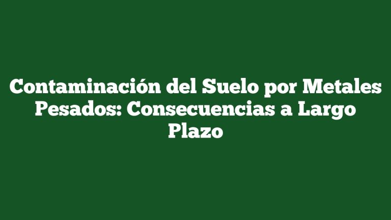 Contaminación del Suelo por Metales Pesados: Consecuencias a Largo Plazo