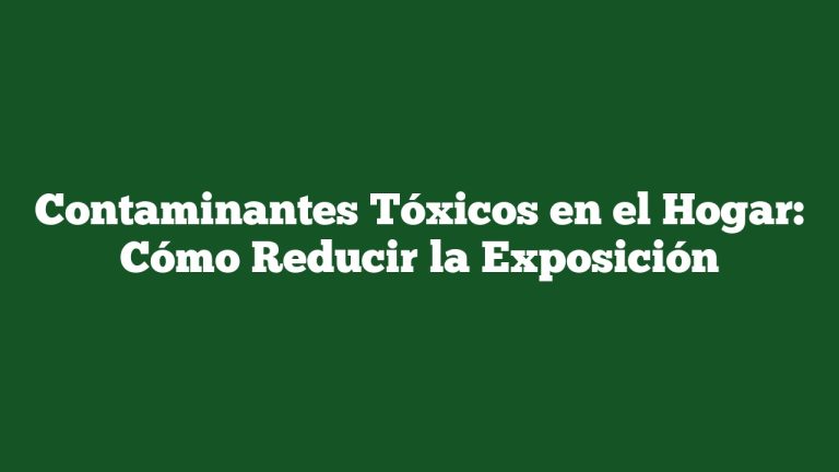 Contaminantes Tóxicos en el Hogar: Cómo Reducir la Exposición