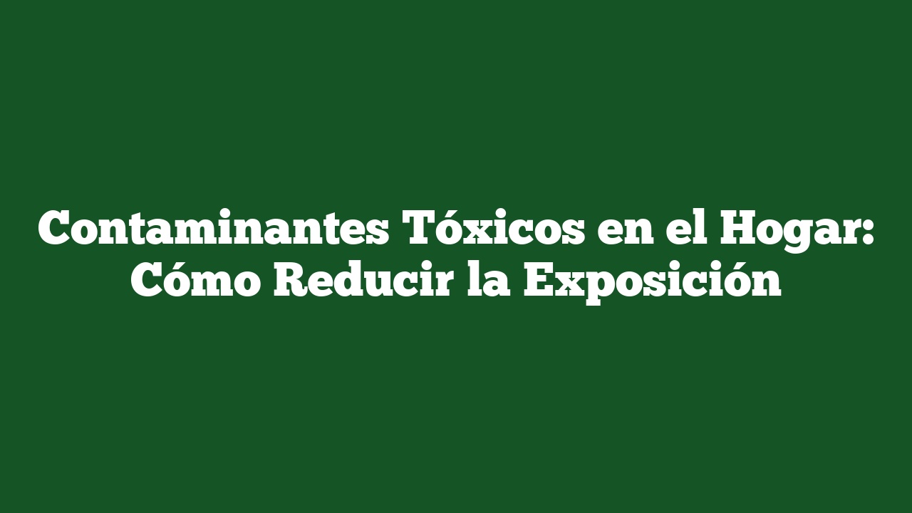 Contaminantes Tóxicos en el Hogar: Cómo Reducir la Exposición
