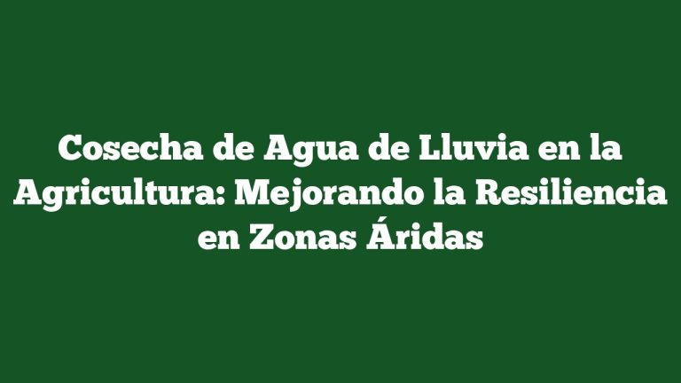 Cosecha de Agua de Lluvia en la Agricultura: Mejorando la Resiliencia en Zonas Áridas
