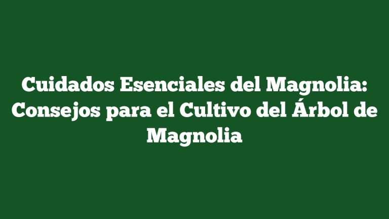 Imagen de Cuidados Esenciales del Magnolia: Consejos para el Cultivo del Árbol de Magnolia Cuidados Esenciales del Magnolia: Consejos para el Cultivo del Árbol de Magnolia