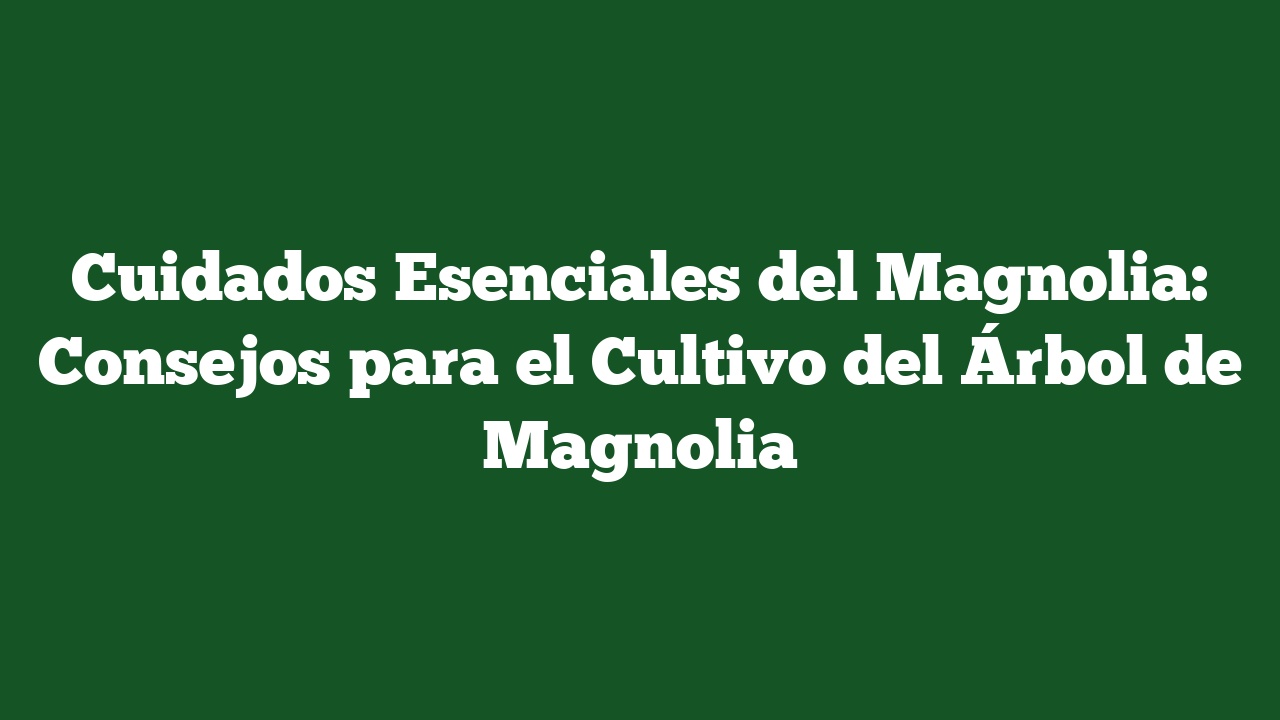 Cuidados Esenciales del Magnolia: Consejos para el Cultivo del Árbol de Magnolia