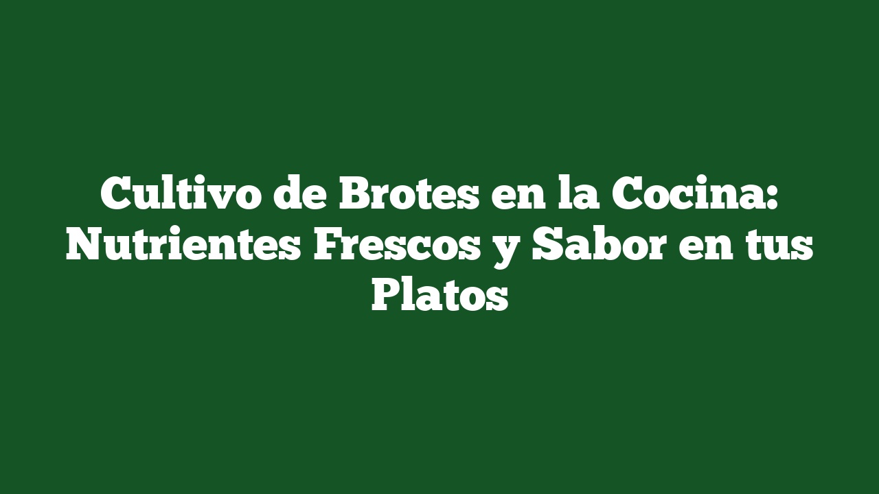 Cultivo de Brotes en la Cocina: Nutrientes Frescos y Sabor en tus Platos