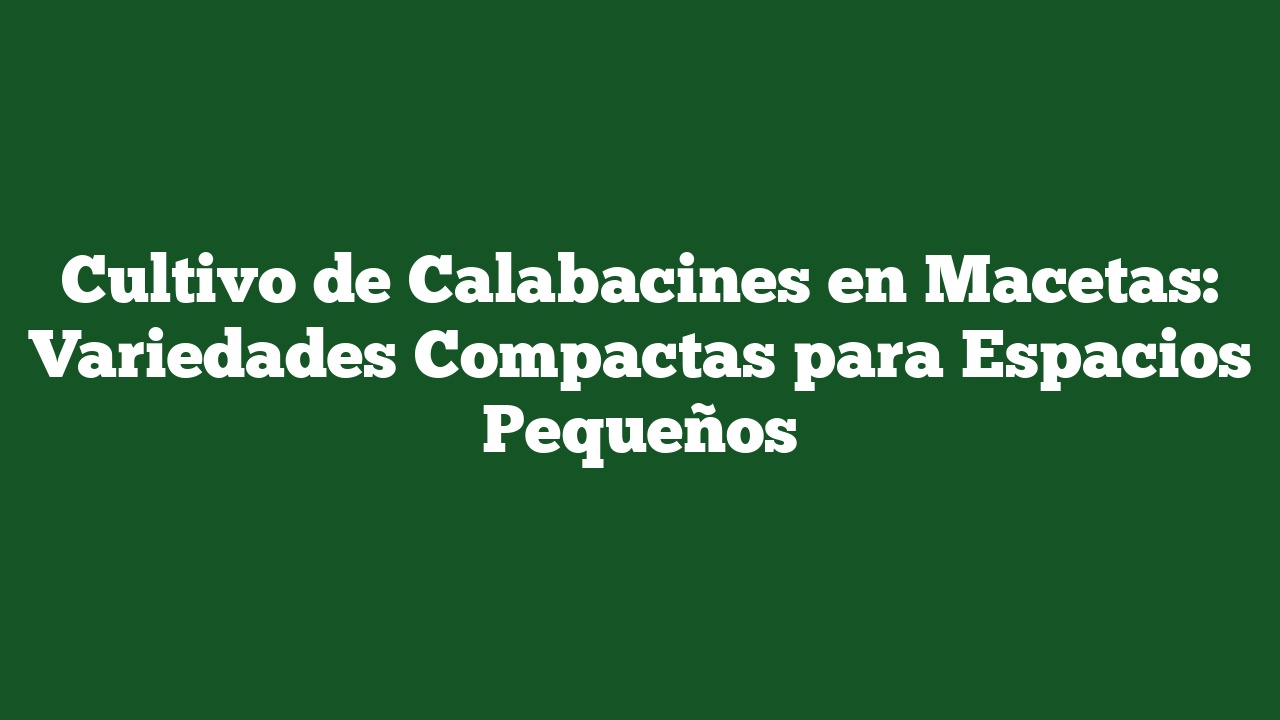 Cultivo de Calabacines en Macetas: Variedades Compactas para Espacios Pequeños