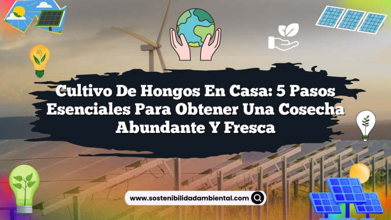 Cultivo de hongos en casa: 5 pasos esenciales para obtener una cosecha abundante y fresca