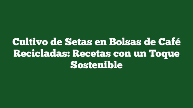 Imagen de Cultivo de Setas en Bolsas de Café Recicladas: Recetas con un Toque Sostenible Cultivo de Setas en Bolsas de Café Recicladas: Recetas con un Toque Sostenible