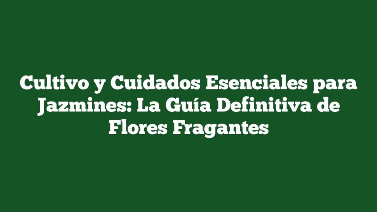 Imagen de Cultivo y Cuidados Esenciales para Jazmines: La Guía Definitiva de Flores Fragantes Cultivo y Cuidados Esenciales para Jazmines: La Guía Definitiva de Flores Fragantes