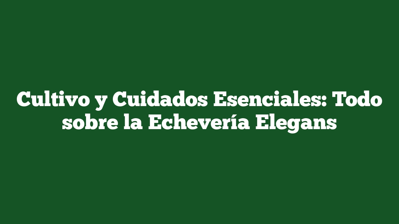 Cultivo y Cuidados Esenciales: Todo sobre la Echevería Elegans