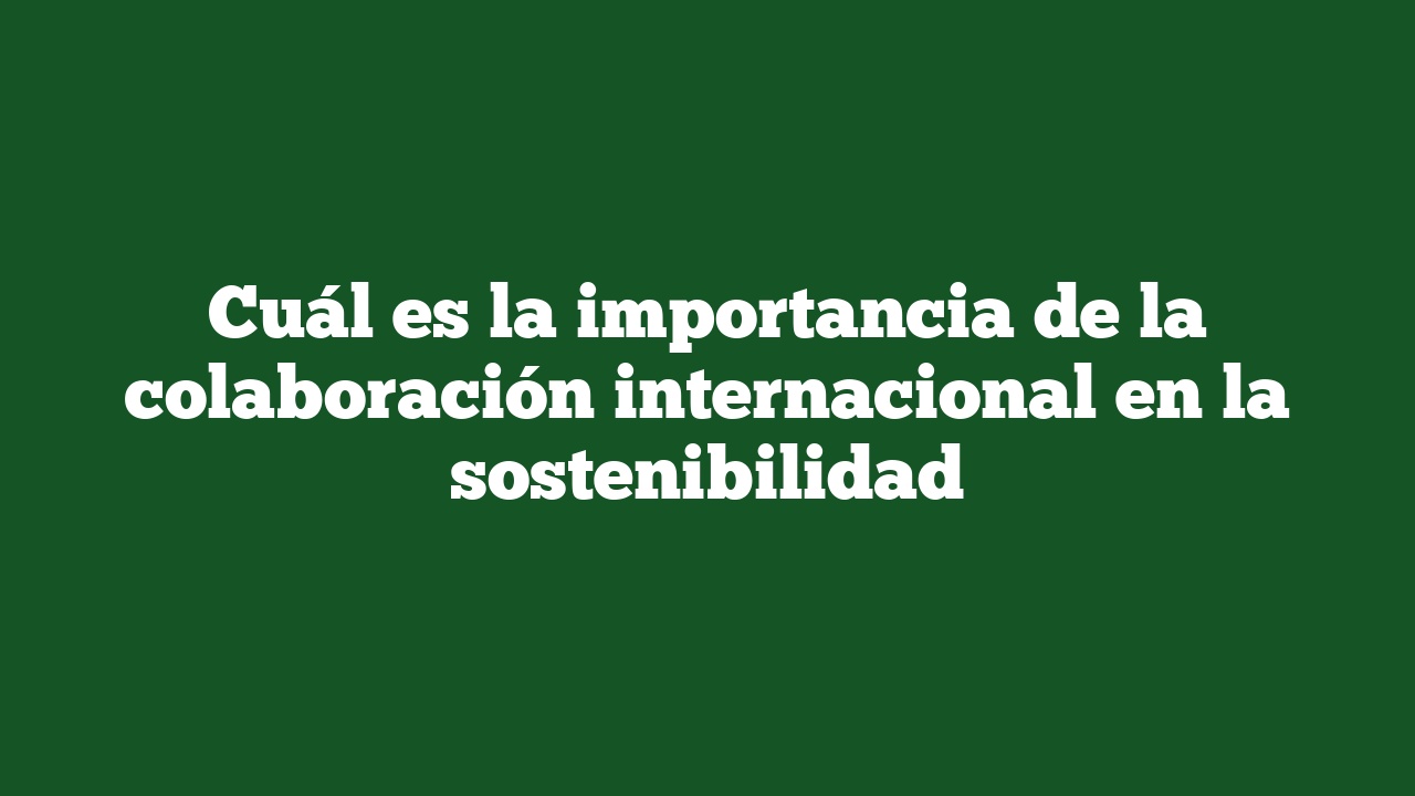 Cuál es la importancia de la colaboración internacional en la sostenibilidad