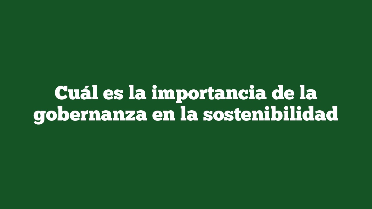 Cuál es la importancia de la gobernanza en la sostenibilidad