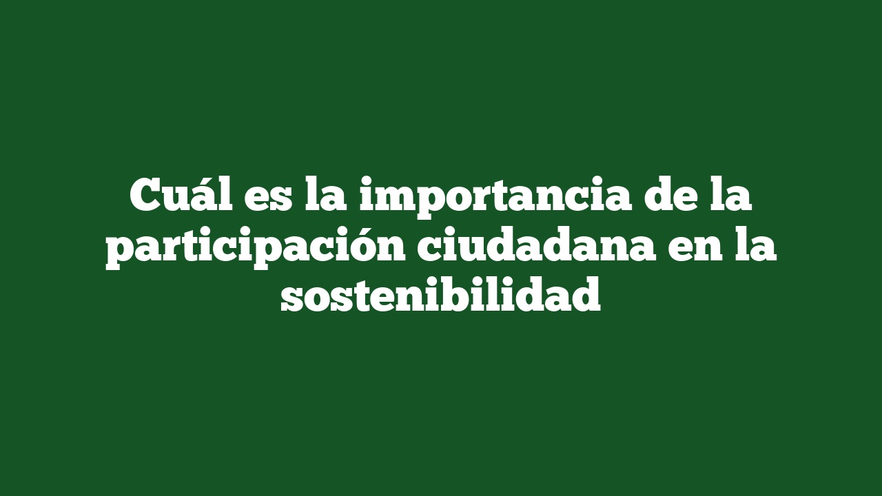 Cuál es la importancia de la participación ciudadana en la sostenibilidad