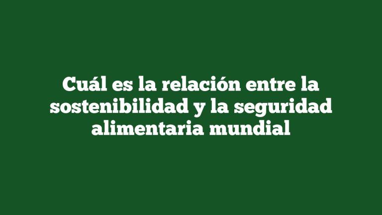 Imagen de Cuál es la relación entre la sostenibilidad y la seguridad alimentaria mundial Cuál es la relación entre la sostenibilidad y la seguridad alimentaria mundial