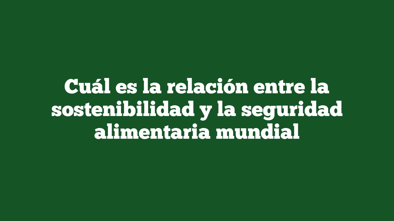 Cuál es la relación entre la sostenibilidad y la seguridad alimentaria mundial