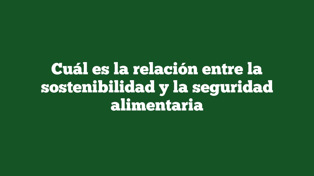 Cuál es la relación entre la sostenibilidad y la seguridad alimentaria