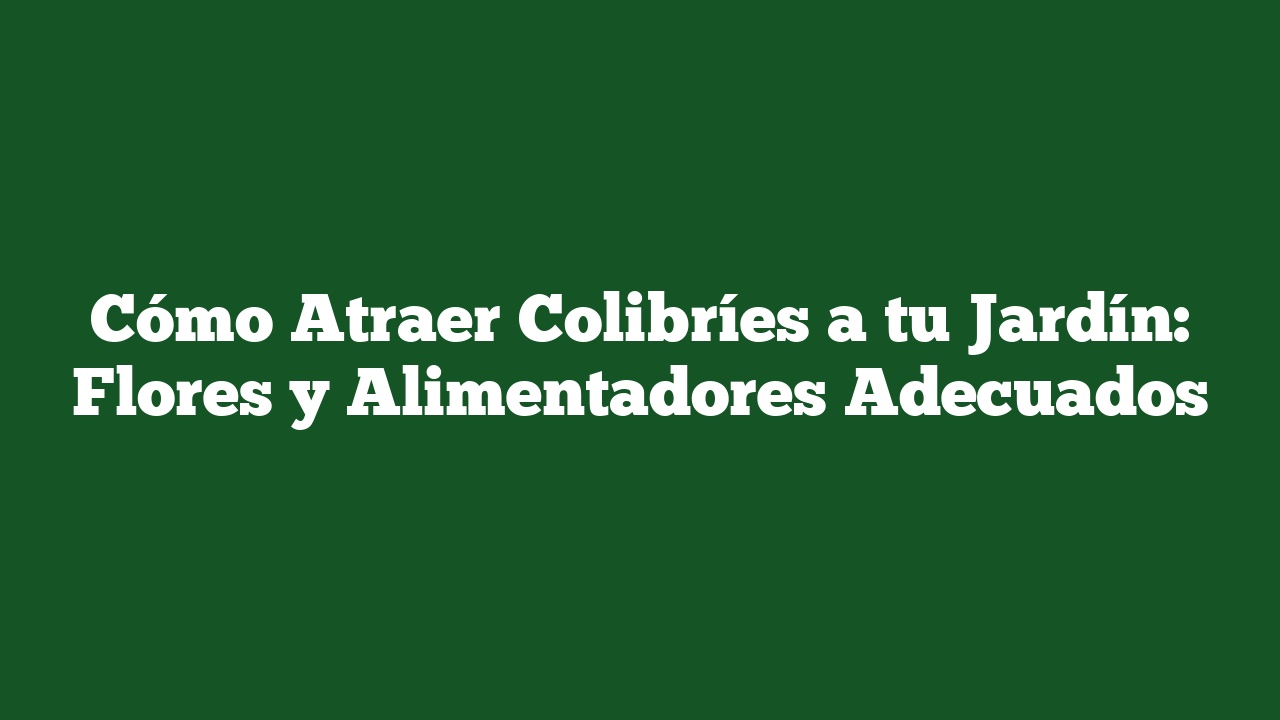 Cómo Atraer Colibríes a tu Jardín: Flores y Alimentadores Adecuados