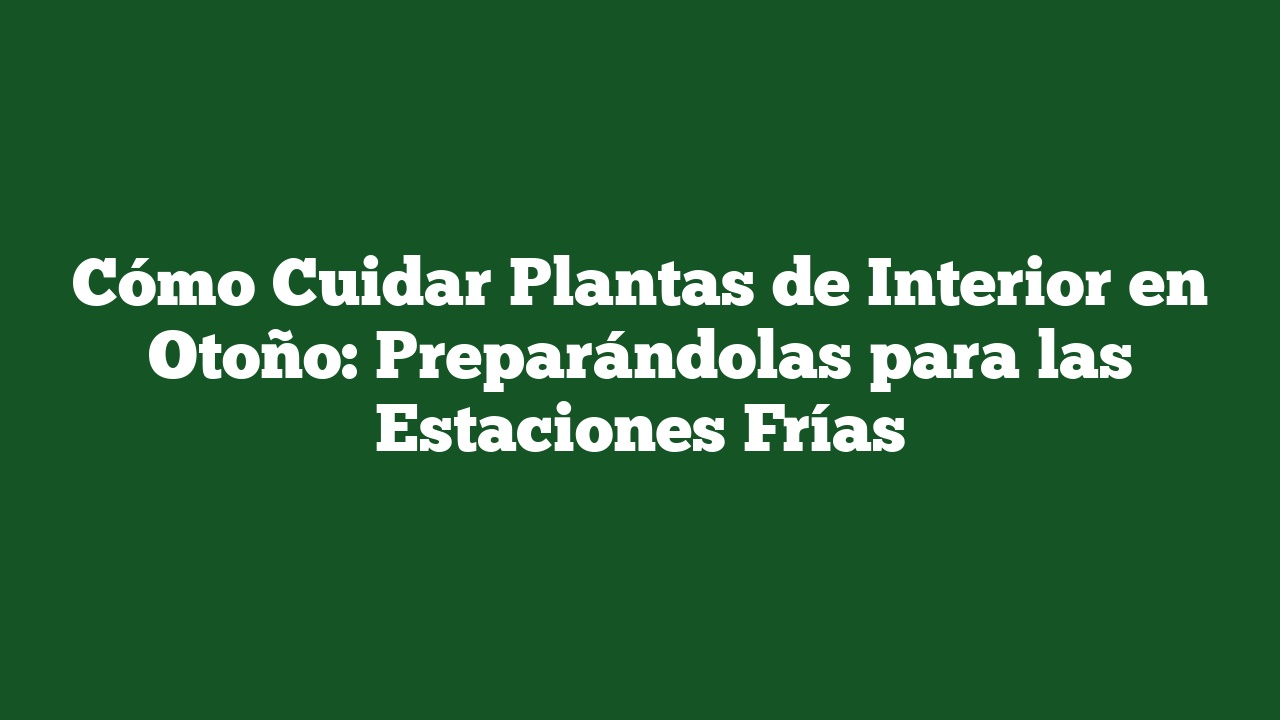 Cómo Cuidar Plantas de Interior en Otoño: Preparándolas para las Estaciones Frías