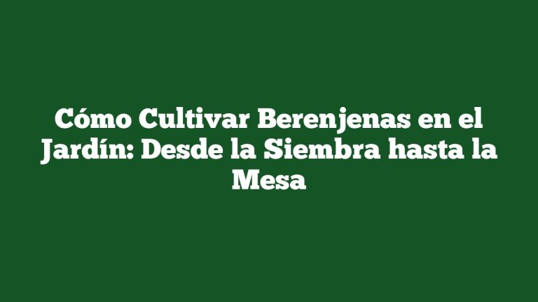 Imagen de Cómo Cultivar Berenjenas en el Jardín: Desde la Siembra hasta la Mesa Cómo Cultivar Berenjenas en el Jardín: Desde la Siembra hasta la Mesa