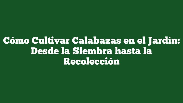 Imagen de Cómo Cultivar Calabazas en el Jardín: Desde la Siembra hasta la Recolección Cómo Cultivar Calabazas en el Jardín: Desde la Siembra hasta la Recolección