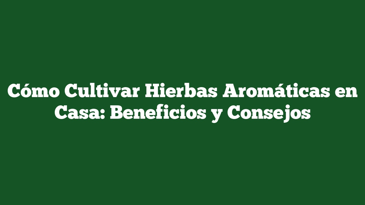 Cómo Cultivar Hierbas Aromáticas en Casa: Beneficios y Consejos