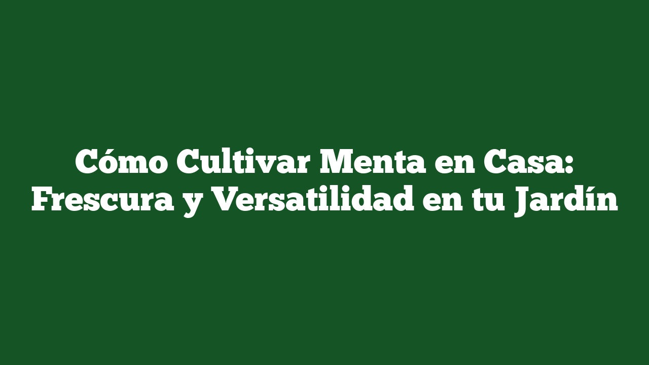 Cómo Cultivar Menta en Casa: Frescura y Versatilidad en tu Jardín