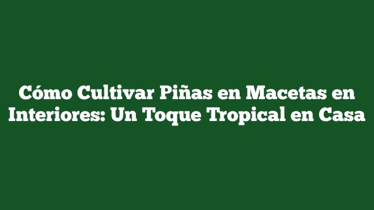 Cómo Cultivar Piñas en Macetas en Interiores: Un Toque Tropical en Casa